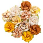 Prima Autumn Sunset Flowers - Harvest Moon