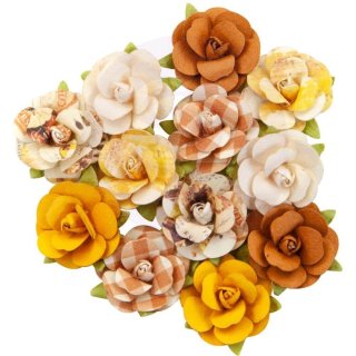Prima Autumn Sunset Flowers - Harvest Moon