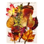 Prima Autumn Sunset Leaf Embellishments - Fall Pine