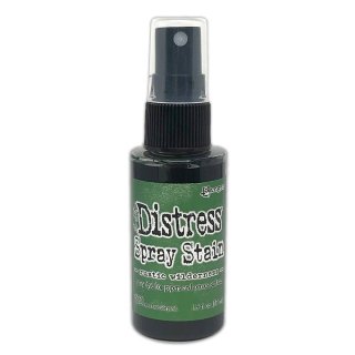 Ranger Tim Holtz Distress Spray - Rustic Wilderness