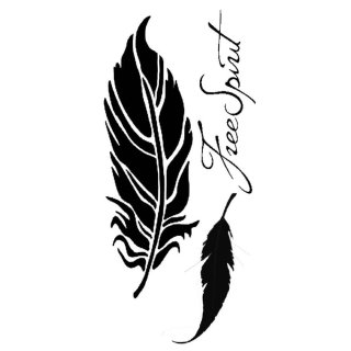 Stamperia 12x25cm Stencil - Feathers