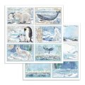Stamperia 12x12 Scrapbooking Pad - Arctic Antarctic