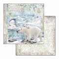 Stamperia 12x12 Scrapbooking Pad - Arctic Antarctic