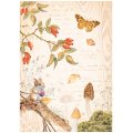 Stamperia A4 Rice Paper Selection of 6 - Woodland