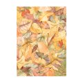 Stamperia A6 Rice Paper Selection of 8 - Backgrounds Woodland