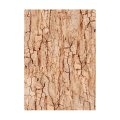 Stamperia A6 Rice Paper Selection of 8 - Backgrounds Woodland