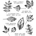 Tim Holtz Cling Stamps Large Set - Nature's Wonder