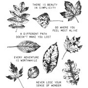 Tim Holtz Cling Stamps Large Set - Nature's Wonder