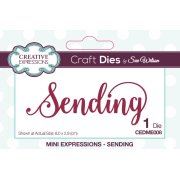 Sue Wilson Craft Die - Mini Expressions - Sending