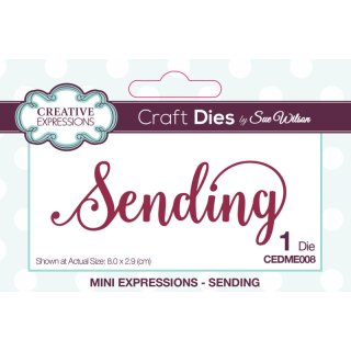 Sue Wilson Craft Die - Mini Expressions - Sending