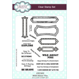 Sue Wilson A5 Clear Stamp Set - Wild About You