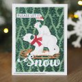 Sue Wilson Stamp and Die Set - Snow