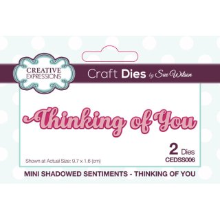 Sue Wilson Craft Die - Mini Shadowed Sentiments - Thinking of You