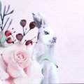 The Paper Boutique Christmas Cuddles A4 Insert Collection
