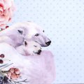 The Paper Boutique Christmas Cuddles A4 Insert Collection
