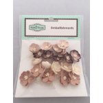 Cherry Blossom Paper Flowers - Tiramisu - The Hobby House