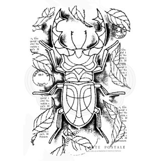 Woodware Clear Singles - Stag Beetle