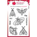 Woodware Clear Singles - Moths
