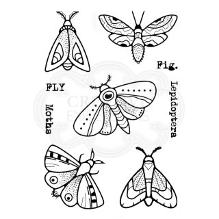 Woodware Clear Singles - Moths