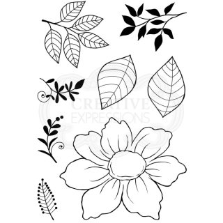 Woodware Clear Singles - Dog Rose Set
