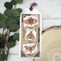 Woodware Clear Singles - Moths