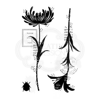 Woodware Clear Singles - Mini Flower Silhouettes