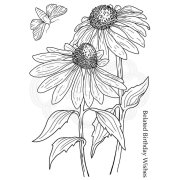 Woodware Clear Singles - Echinacea and Moth