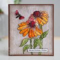 Woodware Clear Singles - Echinacea and Moth