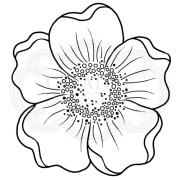 Woodware Clear Singles - Mini Scented Bloom