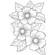 Woodware Clear Singles - Scented Blooms