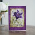 Woodware Clear Singles - Lily Sketch