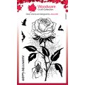 Woodware Clear Singles - Spider & Rose