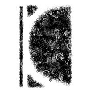 Woodware Clear Singles - Semi Circle Texture Background