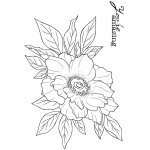 Woodware Clear Singles - Anemone