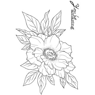Woodware Clear Singles - Anemone