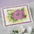 Woodware Clear Singles - Anemone