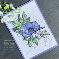 Woodware Clear Singles - Anemone
