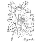 Woodware Clear Singles - Magnolia