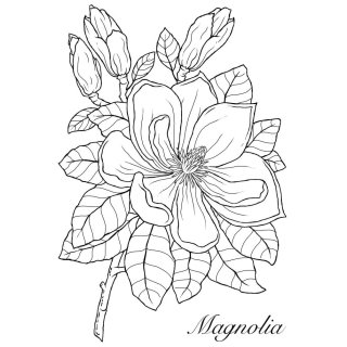 Woodware Clear Singles - Magnolia