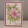 Woodware Clear Singles - Magnolia