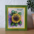 Woodware Clear Singles - Sunflower Rays