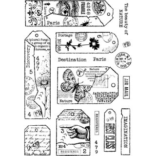 Woodware Clear Singles 6 x 8 Inch - Tag Collection