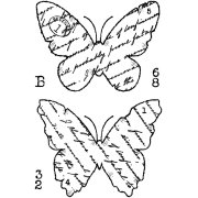 Woodware Clear Singles - Torn Paper Butterflies