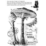 Woodware Clear Singles - Vintage Fungi