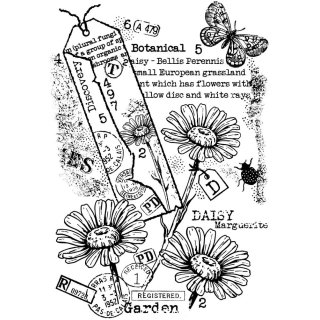 Woodware Clear Singles - Garden Daisies