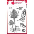 Woodware Clear Singles - Discovery