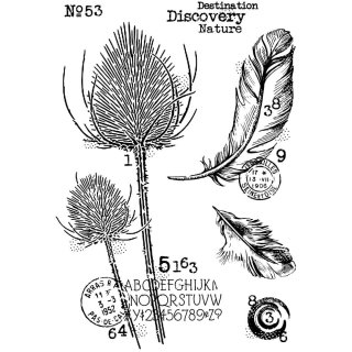 Woodware Clear Singles - Discovery