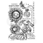 Woodware Clear Singles - Vintage Sunflower
