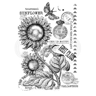 Woodware Clear Singles - Vintage Sunflower