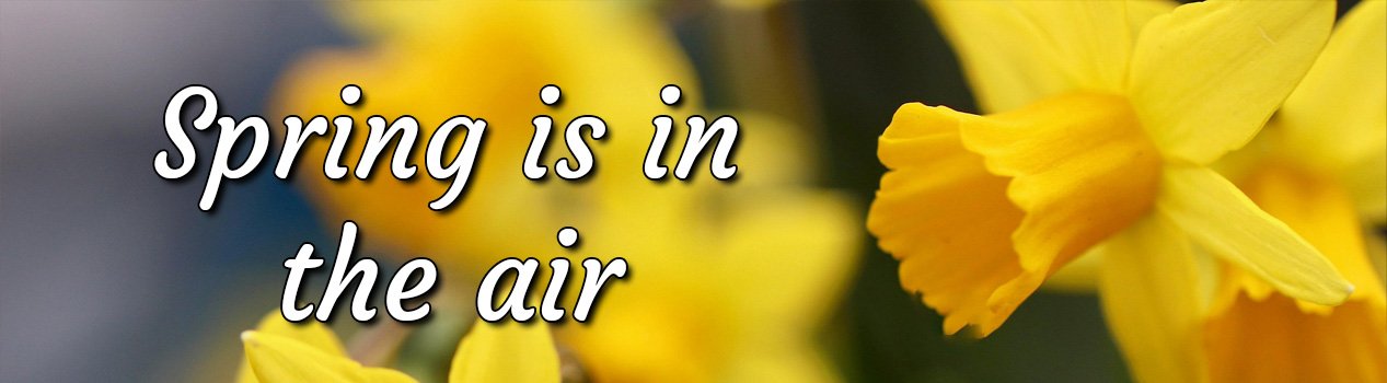 Spring is in the air